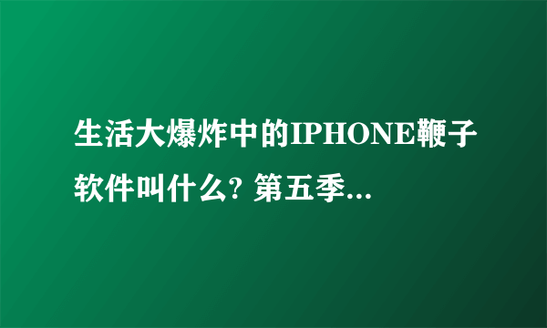 生活大爆炸中的IPHONE鞭子软件叫什么? 第五季第19集中的 出现过很多次 片尾最后一秒也出现了！