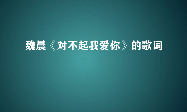 魏晨《对不起我爱你》的歌词