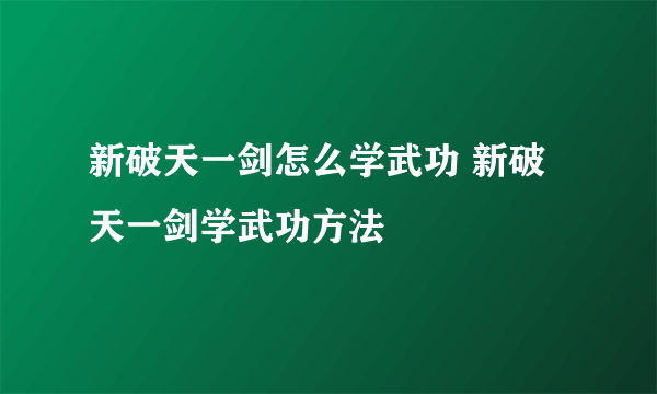 新破天一剑怎么学武功 新破天一剑学武功方法