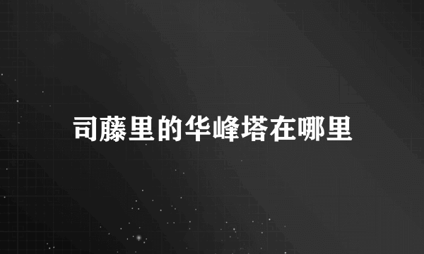 司藤里的华峰塔在哪里