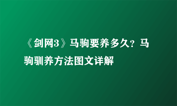 《剑网3》马驹要养多久？马驹驯养方法图文详解