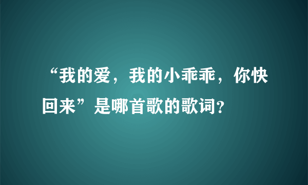 “我的爱，我的小乖乖，你快回来”是哪首歌的歌词？