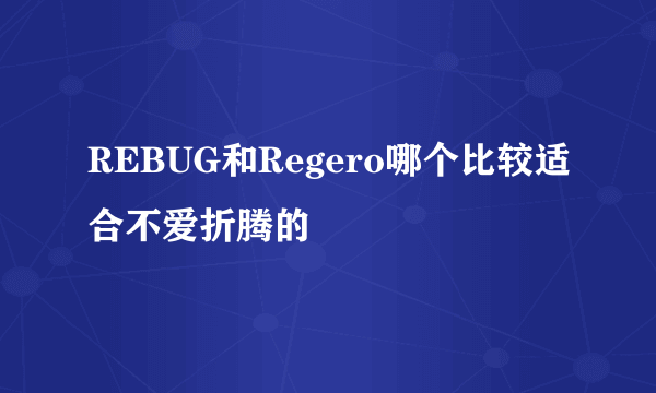 REBUG和Regero哪个比较适合不爱折腾的