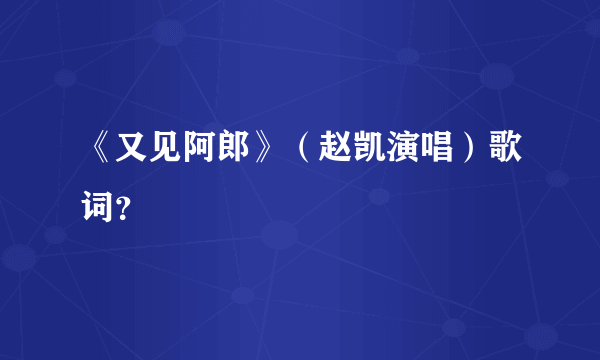 《又见阿郎》（赵凯演唱）歌词？