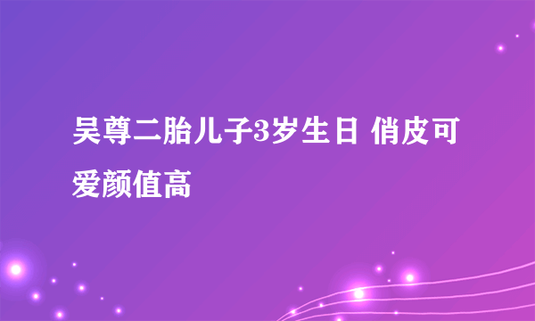 吴尊二胎儿子3岁生日 俏皮可爱颜值高