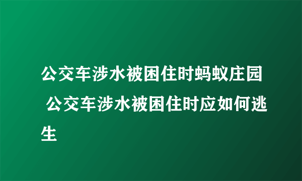 公交车涉水被困住时蚂蚁庄园 公交车涉水被困住时应如何逃生