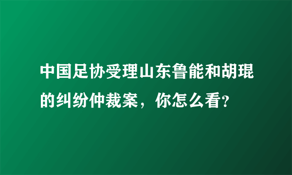 中国足协受理山东鲁能和胡琨的纠纷仲裁案，你怎么看？