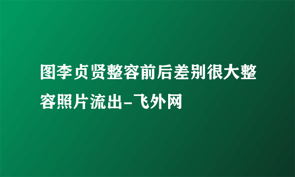 图李贞贤整容前后差别很大整容照片流出-飞外网