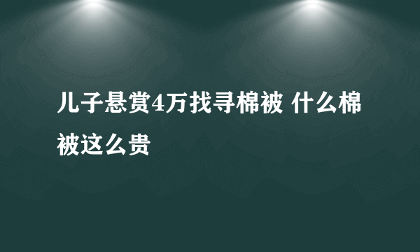 儿子悬赏4万找寻棉被 什么棉被这么贵