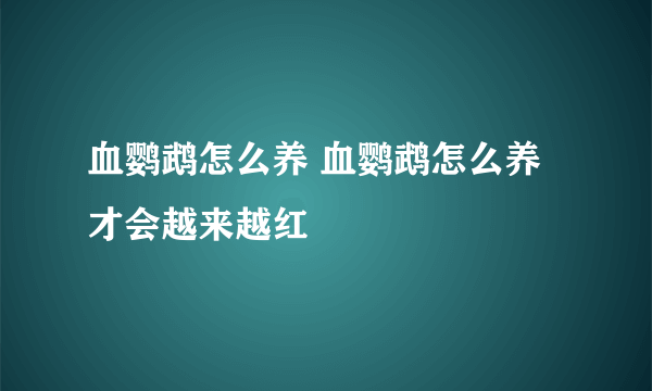 血鹦鹉怎么养 血鹦鹉怎么养才会越来越红