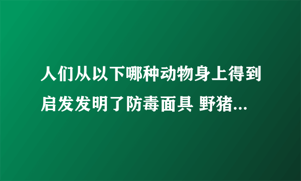 人们从以下哪种动物身上得到启发发明了防毒面具 野猪还是大象呢？