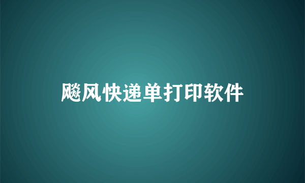 飚风快递单打印软件