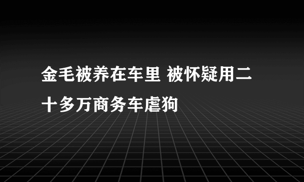 金毛被养在车里 被怀疑用二十多万商务车虐狗