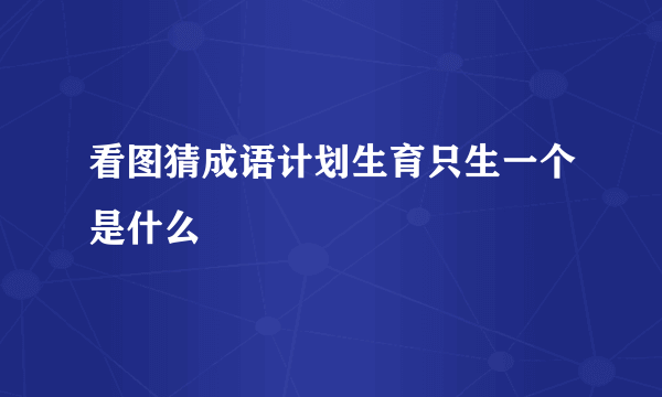 看图猜成语计划生育只生一个是什么