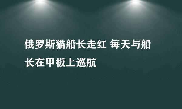 俄罗斯猫船长走红 每天与船长在甲板上巡航