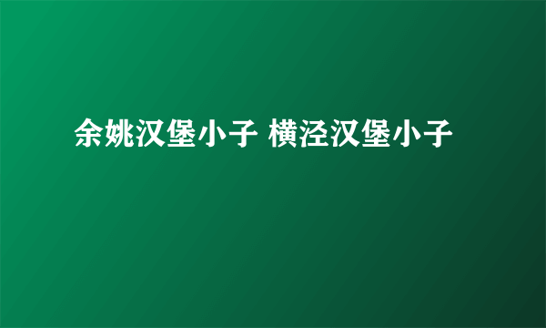 余姚汉堡小子 横泾汉堡小子