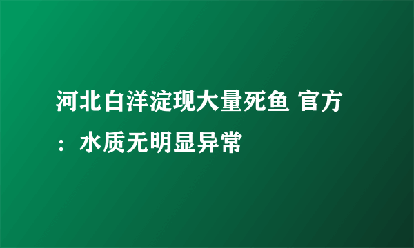 河北白洋淀现大量死鱼 官方：水质无明显异常