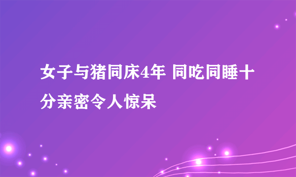 女子与猪同床4年 同吃同睡十分亲密令人惊呆