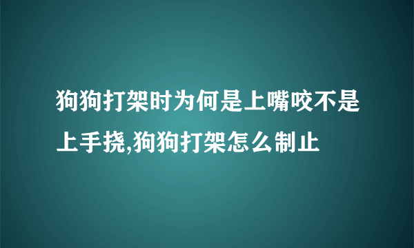 狗狗打架时为何是上嘴咬不是上手挠,狗狗打架怎么制止