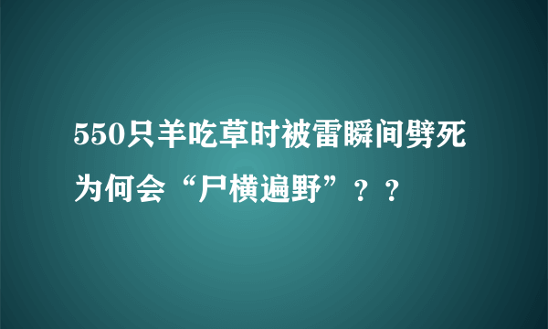 550只羊吃草时被雷瞬间劈死 为何会“尸横遍野”？？