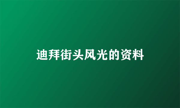 迪拜街头风光的资料