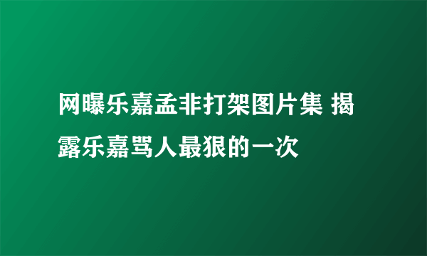 网曝乐嘉孟非打架图片集 揭露乐嘉骂人最狠的一次