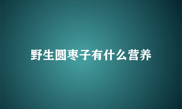 野生圆枣子有什么营养