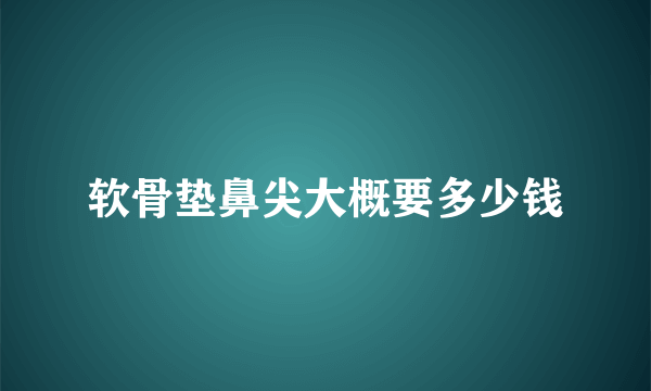 软骨垫鼻尖大概要多少钱