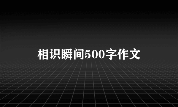 相识瞬间500字作文