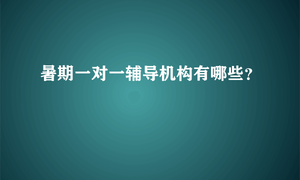 暑期一对一辅导机构有哪些？