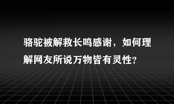 骆驼被解救长鸣感谢，如何理解网友所说万物皆有灵性？