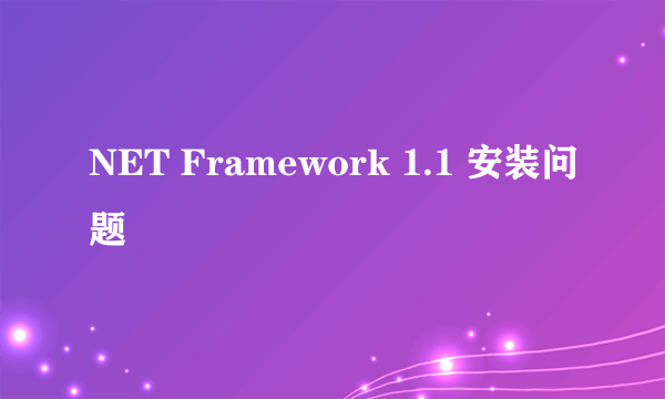 NET Framework 1.1 安装问题