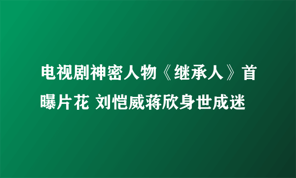 电视剧神密人物《继承人》首曝片花 刘恺威蒋欣身世成迷