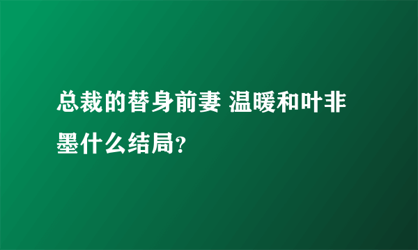 总裁的替身前妻 温暖和叶非墨什么结局？