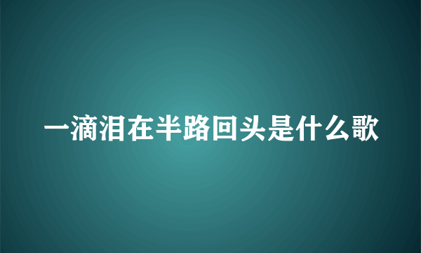 一滴泪在半路回头是什么歌