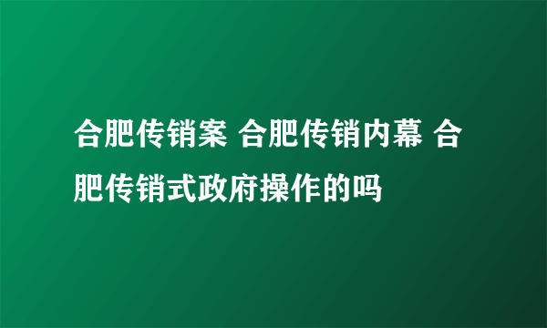 合肥传销案 合肥传销内幕 合肥传销式政府操作的吗