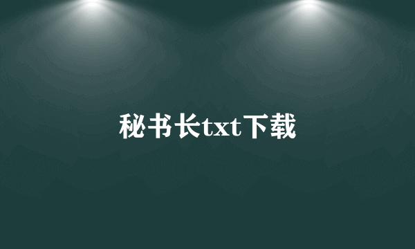 秘书长txt下载