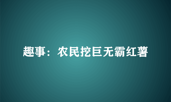 趣事：农民挖巨无霸红薯