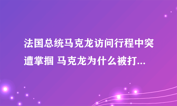 法国总统马克龙访问行程中突遭掌掴 马克龙为什么被打事件始末