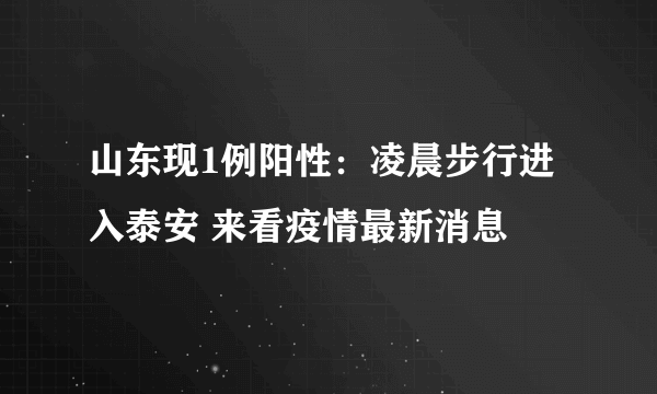 山东现1例阳性：凌晨步行进入泰安 来看疫情最新消息