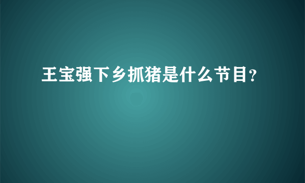 王宝强下乡抓猪是什么节目？