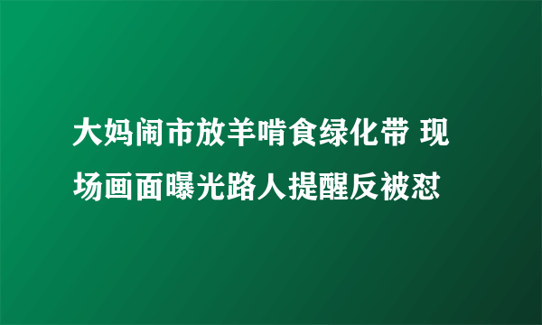 大妈闹市放羊啃食绿化带 现场画面曝光路人提醒反被怼