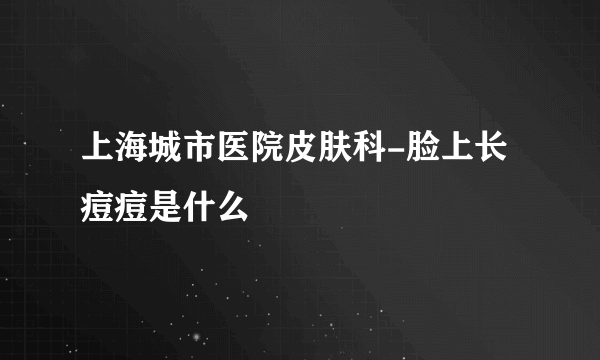 上海城市医院皮肤科-脸上长痘痘是什么