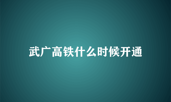 武广高铁什么时候开通