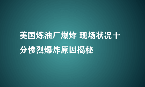 美国炼油厂爆炸 现场状况十分惨烈爆炸原因揭秘