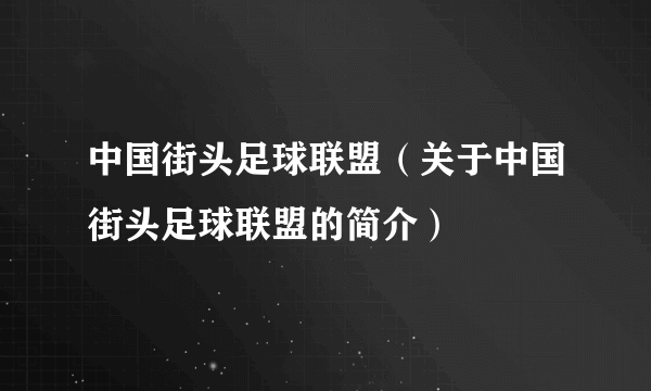 中国街头足球联盟（关于中国街头足球联盟的简介）