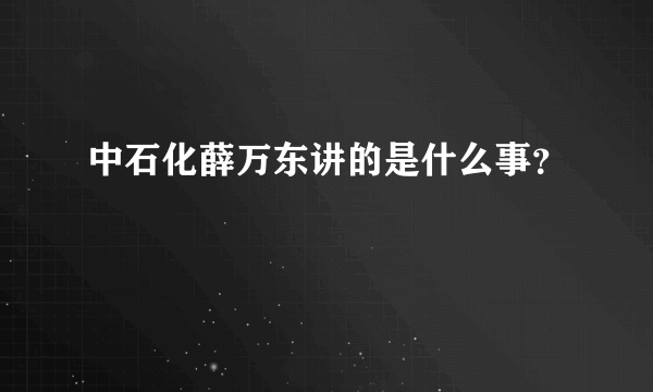 中石化薛万东讲的是什么事？