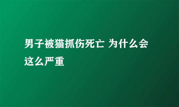 男子被猫抓伤死亡 为什么会这么严重