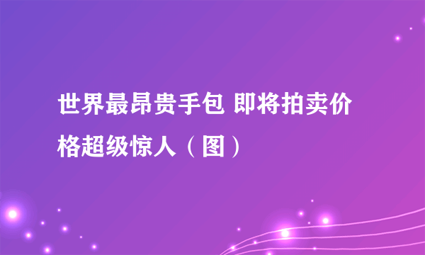 世界最昂贵手包 即将拍卖价格超级惊人（图）