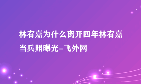 林宥嘉为什么离开四年林宥嘉当兵照曝光-飞外网